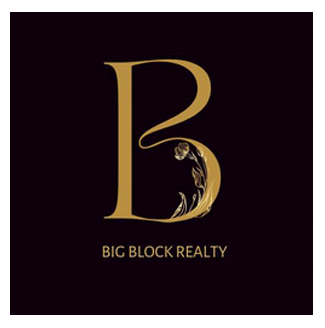 bigblock logo - Skyroot MarkTech Client